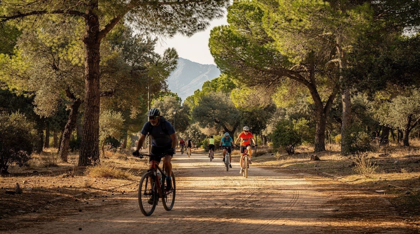 Dehesa de la Villa: il parco boschivo di Madrid per la corsa e la fuga dalla città — Dehesa de la Villa: 75 ha di pineta e bosco di lecci nel nordovest di Madrid. Il