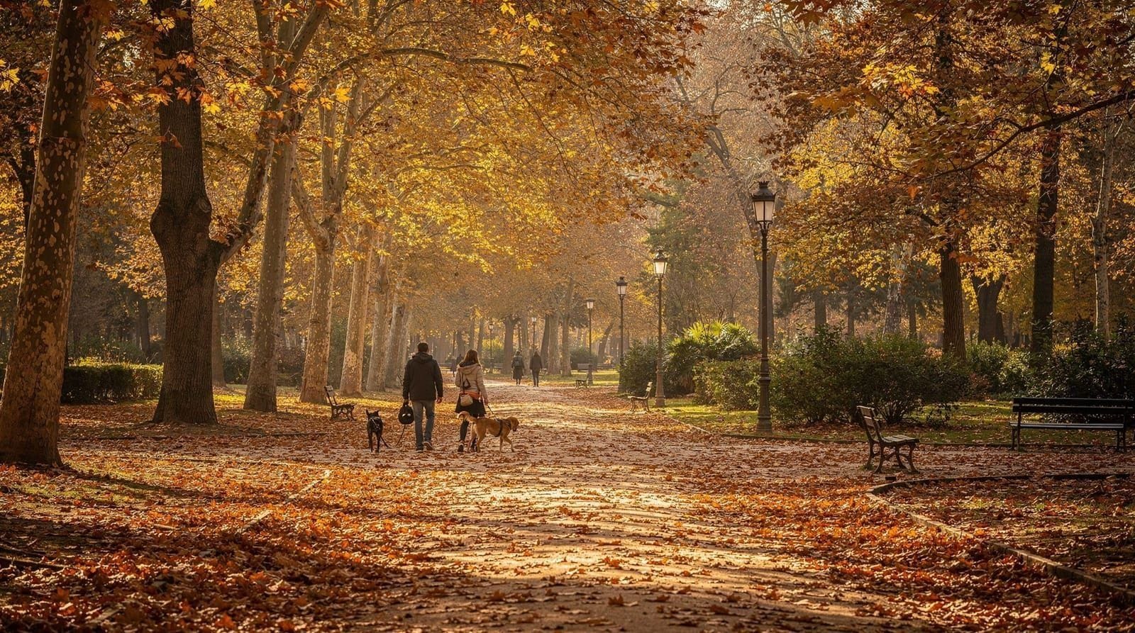 Madrid in autunno: la seconda stagione migliore, la scelta del visitatore intelligente